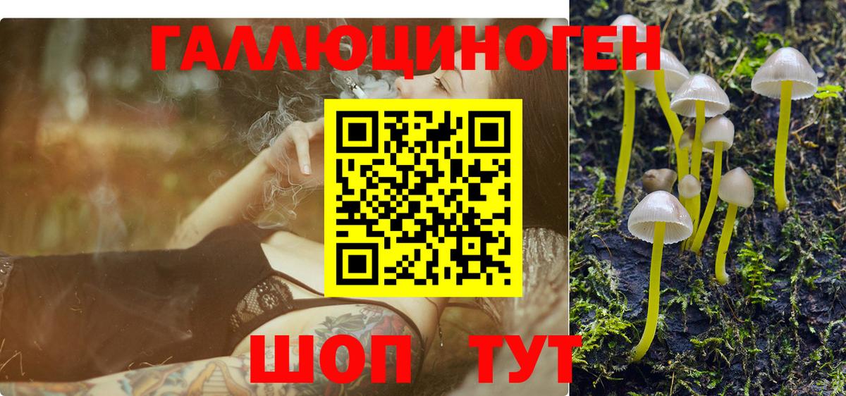 Псилоцибиновые грибы мухоморы  Вход с VPN  Домодедово 